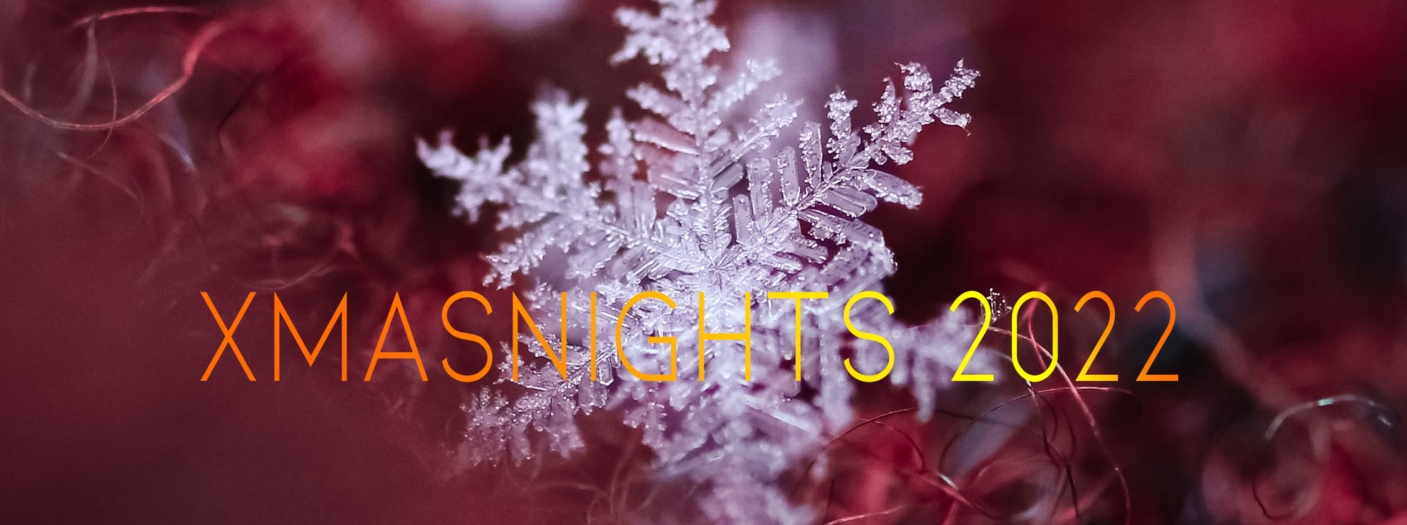 xmasNight1